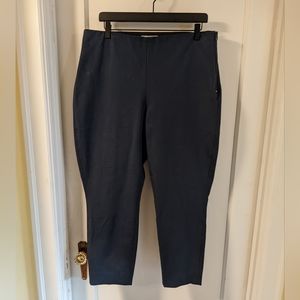 Dark blue Everlane capris with side zipper size 16